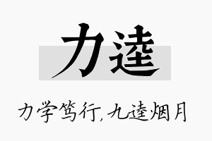 力逵名字的寓意及含义