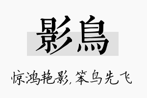 影鸟名字的寓意及含义