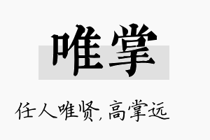 唯掌名字的寓意及含义