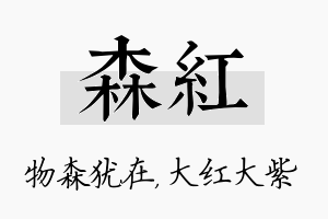 森红名字的寓意及含义