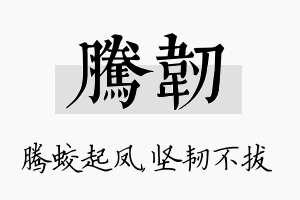 腾韧名字的寓意及含义