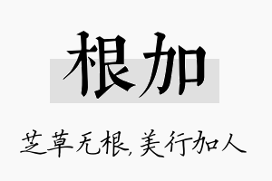 根加名字的寓意及含义