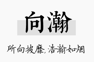 向瀚名字的寓意及含义