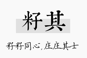 籽其名字的寓意及含义