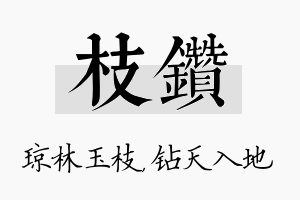 枝钻名字的寓意及含义