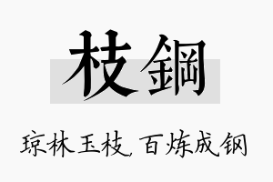 枝钢名字的寓意及含义