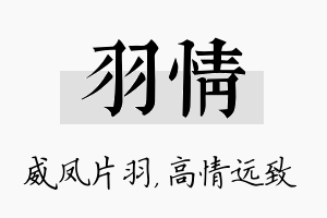 羽情名字的寓意及含义