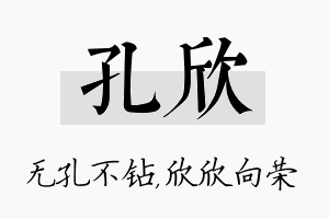 孔欣名字的寓意及含义