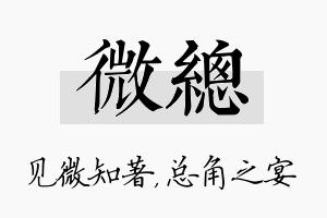 微总名字的寓意及含义