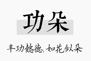 功朵名字的寓意及含义