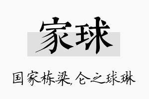 家球名字的寓意及含义