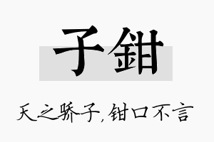 子钳名字的寓意及含义