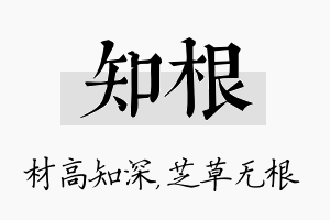 知根名字的寓意及含义