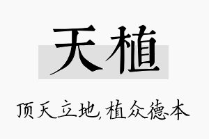 天植名字的寓意及含义