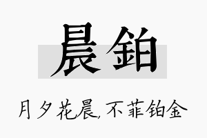 晨铂名字的寓意及含义