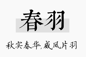 春羽名字的寓意及含义