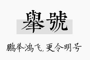 举号名字的寓意及含义