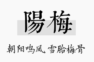 阳梅名字的寓意及含义