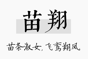 苗翔名字的寓意及含义