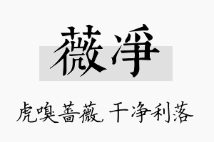 薇净名字的寓意及含义