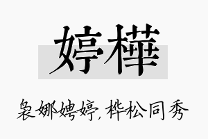 婷桦名字的寓意及含义