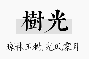 树光名字的寓意及含义