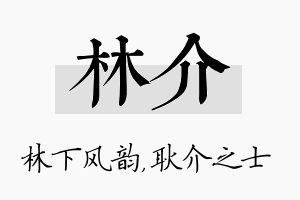 林介名字的寓意及含义