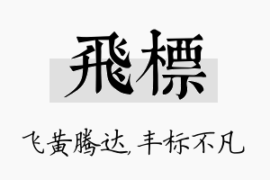 飞标名字的寓意及含义