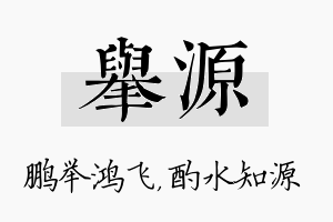 举源名字的寓意及含义