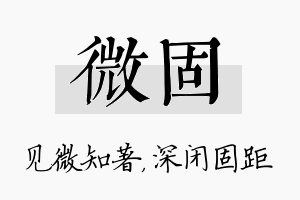 微固名字的寓意及含义