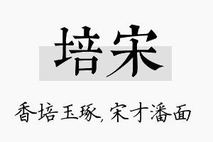 培宋名字的寓意及含义