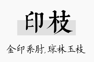 印枝名字的寓意及含义