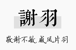 谢羽名字的寓意及含义