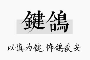 键鸽名字的寓意及含义