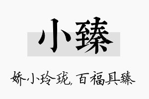 小臻名字的寓意及含义