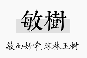 敏树名字的寓意及含义