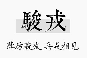 骏戎名字的寓意及含义