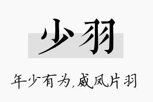 少羽名字的寓意及含义