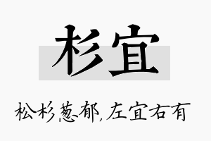 杉宜名字的寓意及含义