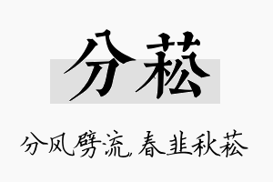 分菘名字的寓意及含义