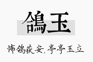 鸽玉名字的寓意及含义