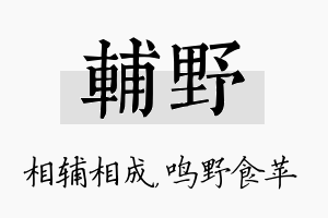 辅野名字的寓意及含义