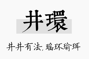 井环名字的寓意及含义