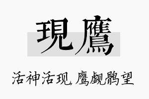 现鹰名字的寓意及含义