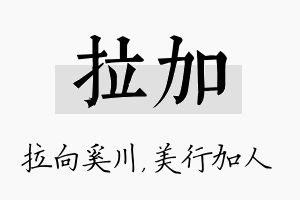 拉加名字的寓意及含义