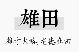 雄田名字的寓意及含义