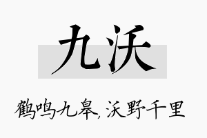 九沃名字的寓意及含义