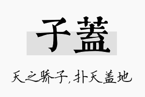 子盖名字的寓意及含义