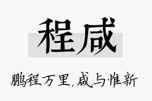 程咸名字的寓意及含义