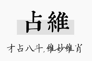 占维名字的寓意及含义